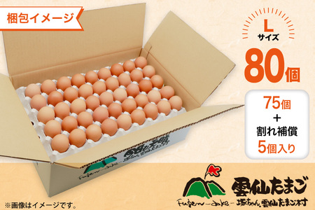 BI039 12回 定期便 たっぷり！ 雲仙たまごLサイズ 80個 (75個＋割れ補償5個入り) [長崎県 島原市]
