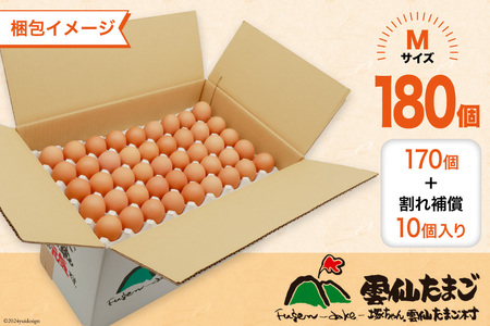 BI051 12回 定期便 どっさり！ 雲仙たまごMサイズ 180個(170個＋割れ補償10個入り) [長崎県 島原市]