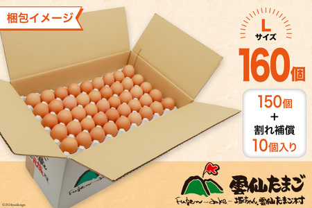 BI048 12回 定期便 どっさり！ 雲仙たまごLサイズ 160個(150個＋割れ補償10個入り) [長崎県 島原市]