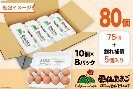 BI036 12回 定期便 雲仙たまごLサイズ  80個 (10個入り×8パック)(75個＋割れ補償5個入り) [長崎県 島原市]
