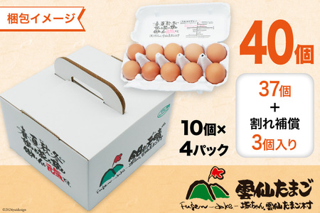 BI032 6回 定期便 雲仙たまごLサイズ 40個 (10個入り×4パック) (37個＋割れ補償3個入り) [長崎県 島原市]