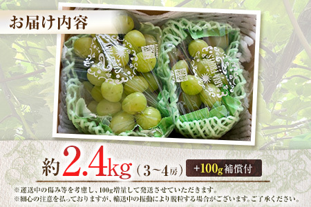 ＜先行予約＞シャインマスカット 3～4房 約2.4kg+100g補償付 宮崎県産 ※2026年8月下旬～【C433-26】