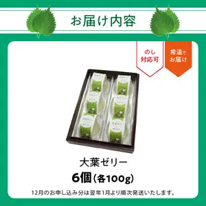 大葉ゼリー 6個入り J05008