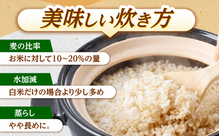 もち麦よりも『ぷりっ』とした弾力 長崎県産 丸麦 10kg / 麦 [AHBU005]