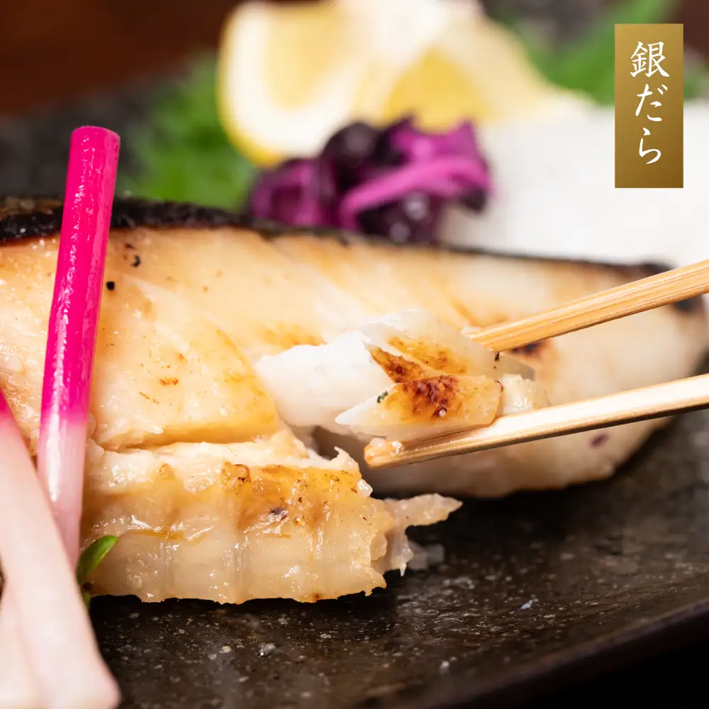 熊本の酒粕と東肥の赤酒でつくる肥後の海鮮粕漬け食べ比べセット おかず レシピ 焼き魚 海鮮 赤酒 酒粕 粕漬 サーモン 銀だら 鱈 サバ 鯖 魚 熊本 八代市 食べ比べ