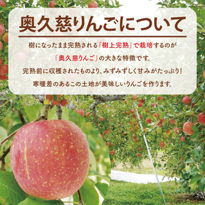 斉藤りんご園の奥久慈りんごジュース（ストレート）1000ml×2本セット（化粧箱入り）｜りんご リンゴ 林檎 リンゴジュース りんごジュース ジュース フルーツ 果物 セット ギフト 贈り物 化粧箱 奥久慈りんご 茨城県 大子町(CG004)