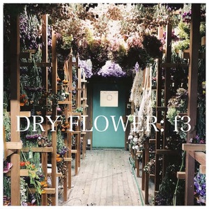 ドライフラワーリース　ワイルドフラワー [h302]