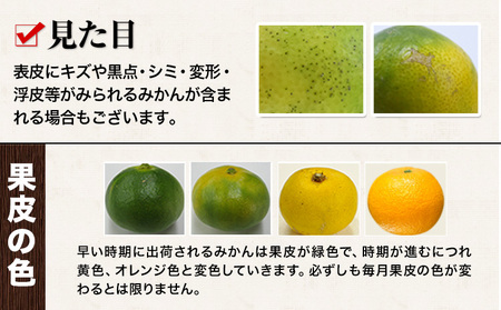 【2ヶ月定期便】訳あり みかん 小玉みかん くまもと小玉みかん 5kg (2.5kg×2箱)   秋 旬 不揃い 傷 ご家庭用 SDGs 《10月-11月出荷》小玉 たっぷり 熊本県 産 S-3Sサイズ フルーツ 旬 柑橘 長洲町 温州みかん
