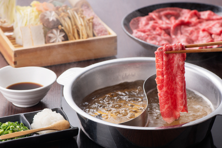 牛肉 定期便 宮崎牛スライスセット 6ヶ月定期便 [ミヤチク 宮崎県 美郷町 31au0107]