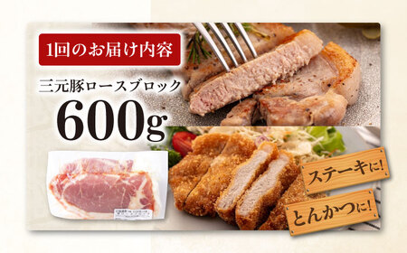 【全3回定期便】平田牧場 ロース ブロック 600g 豚肉 ローストポーク 煮豚 煮物 [AJAP095]