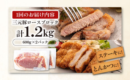 【全3回定期便】平田牧場 ロース ブロック 1.2kg (600g×2P) 豚肉 ローストポーク 煮豚 [AJAP099]