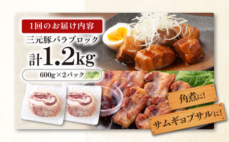 【全3回定期便】平田牧場 バラ ブロック 1.2kg (600g×2P) 豚肉 煮豚 [AJAP107]