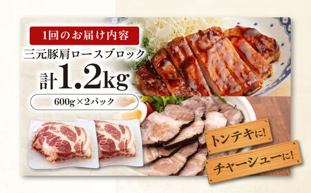 【全6回定期便】平田牧場 肩ロース ブロック 1.2kg (600g×2P) 豚肉 ローストポーク 煮豚 [AJAP116]