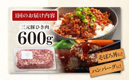 【全2回定期便】平田牧場 ひき肉 600g  豚肉 餃子 つくね [AJAP118]