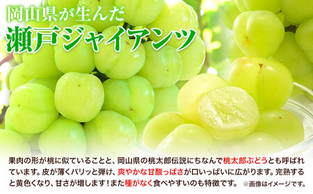 【3回定期便】3種ぶどう食べ比べ  計3房 　ﾏｽｶｯﾄ ﾋﾟｵｰﾈ ぶどう