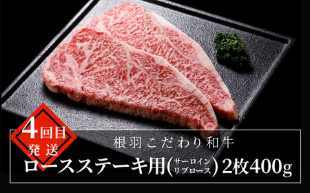 5セット限定！★定期便 全4回★ 長野県根羽村 人気4品！定期便 切り落とし カタロース 焼肉 サーロインステーキ ロースステーキ ステーキ 限定 定期便 人気 4回