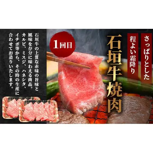 【全3回 定期便A】 石垣牛特選　焼肉・サーロインステーキ・すきしゃぶ　計2.2kg （いしなぎ屋）　AB-29