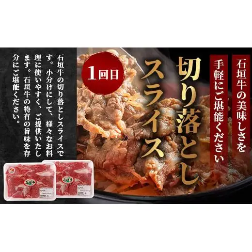 【全３回 定期便B】 石垣牛　切り落としスライス・ハンバーグ・肩ロースすきしゃぶ　計1.67kg（いしなぎ屋）　AB-30