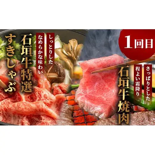 【全2回 定期便D】 石垣牛 すきしゃぶ＆焼肉セット・ステーキ＆焼肉セット　計2kg（いしなぎ屋）　AB-32