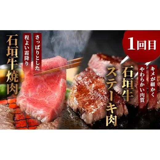 【全2回 定期便E】 石垣牛 ステーキ＆焼肉特盛セット・すきしゃぶ800g＆焼肉特盛セット　計3.2kg（いしなぎ屋）　AB-33