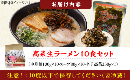 高菜生ラーメン10食セット / 豚骨ラーメン スピード配送[AFAE007]
