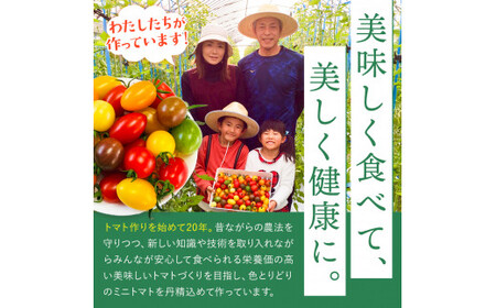 サザキ農園 ミニトマト彩りセット （ プラム型 ） 3kg | 野菜 やさい トマト とまと ミニトマト カラフル 彩り セット 熊本県 玉名市