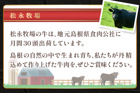 A-1200 松永牧場牛入り ハンバーグ　160g×4個