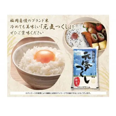 Y17-21 令和7年産 無洗米 元気つくし5kg