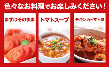 大玉トマト4kg (18-24玉) 松澤農園  岩手県 九戸村 