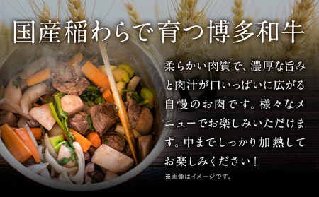 博多和牛モモブロック 約500g～600g 株式会社MEAT PLUS《30日以内に出荷予定(土日祝除く)》福岡県 鞍手郡 小竹町 博多和牛 和牛 牛肉 モモ モモ肉 ブロック肉