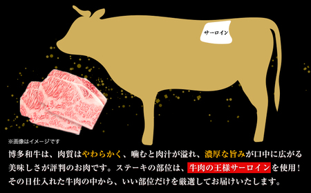 博多和牛サーロインステーキセット 500g 250g×2枚 株式会社MEAT PLUS《30日以内に出荷予定(土日祝除く)》福岡県 鞍手郡 小竹町 博多和牛 和牛 牛肉 サーロイン ステーキ サーロインステーキ