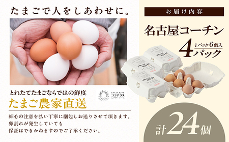 【高級】名古屋コーチン 4パック（計24個）【JGAP認証】飼料にこだわった 採れたて卵 新鮮 希少 たまご 安心 安全 農家直送 たまごかけご飯 生卵 美味しい卵 愛知県 常滑市