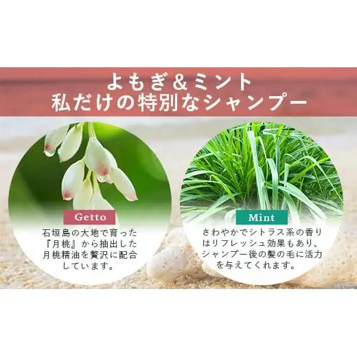 オーガニックオンリーシャンプー　月桃＆レモングラス、よもぎ＆ミント 2本セット（パウチタイプ） 　OR-3

