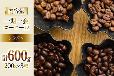 コーヒー 焙煎士おススメ コーヒー豆 セット 200g 3種 計600g [アンカーコーヒー 宮城県 気仙沼市 20565128]