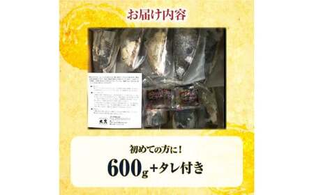 かつおのたたき 訳あり 鰹タタキ 600g カツオのタタキ カツオのたたき 藁焼き 鰹 訳アリ わけあり 訳 刺身 魚 海鮮 魚介 土佐 本場 不揃い 規格外 春 旬 食べ物【株式会社大熊】 [BQAA009]