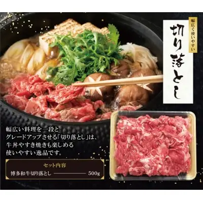 Y09-01 博多和牛 切り落とし500g 牛肉 