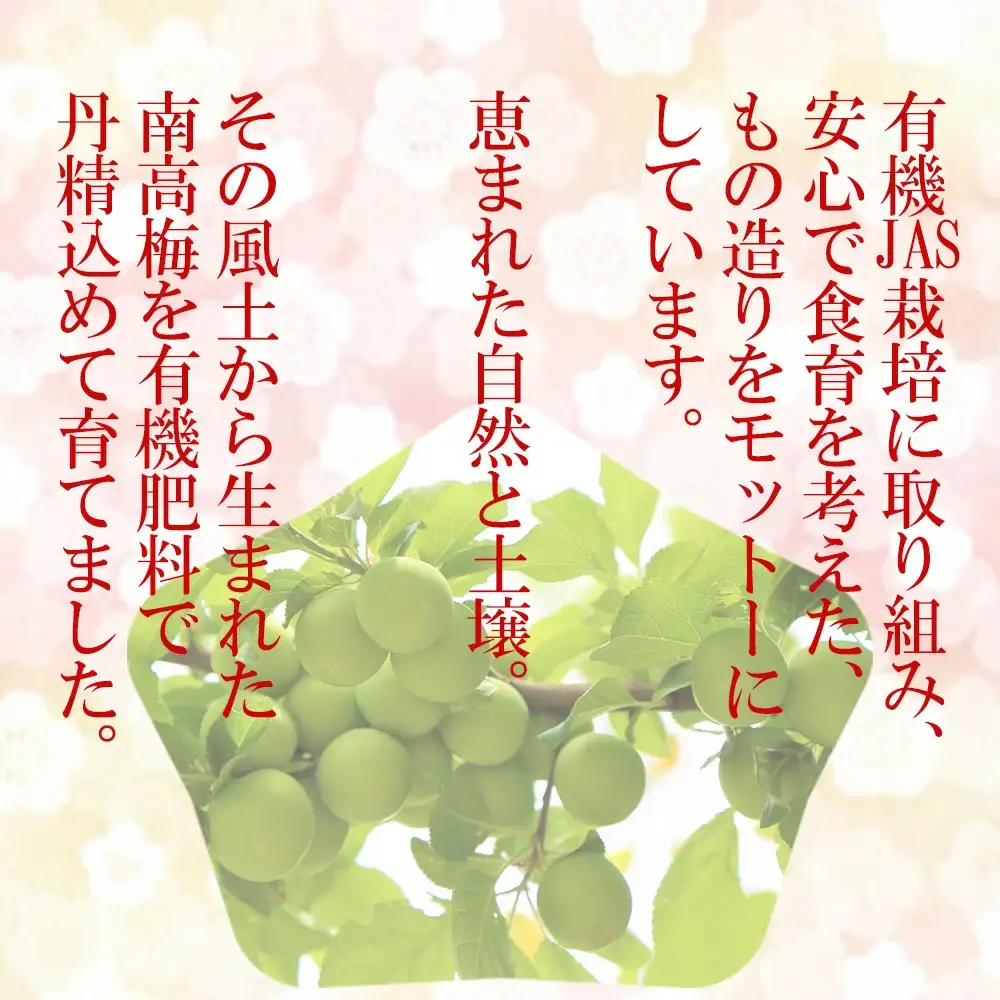 紀州南高梅 種ぬきはちみつ梅 600g 塩分7％（200g×3）tkdkaen005A【tkdkaen005A】