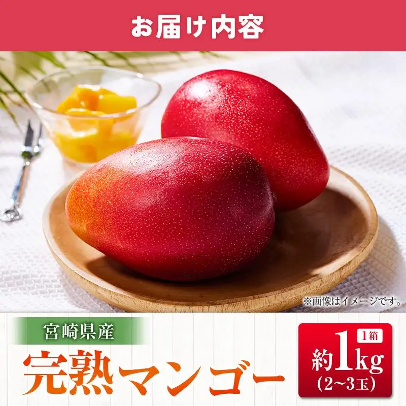 ◆宮崎県産 完熟マンゴー（合計約1kg）