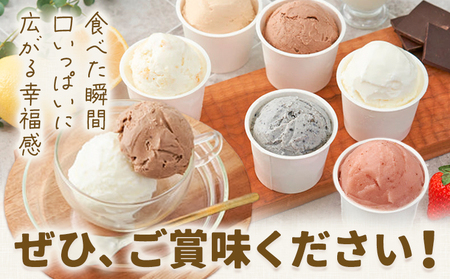 酵素ジェラート 6個セット