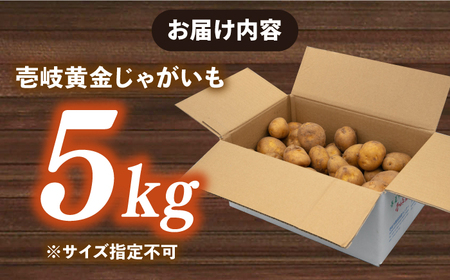 【先行予約】壱岐黄金じゃがいも 5kg【2026年7月中に発送】《壱岐市》【壱岐市農業協同組合】[JBO139] じゃがいも 旬野菜