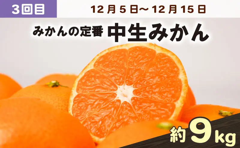 愛媛みかん 旬の みかん 定期便 3回 家庭用 9kg ×3回 極早生 早生 中生 兵頭農園 先行予約 温州 ごくわせ わせ なかて 3ヶ月 mikan 愛媛ミカン 愛媛蜜柑 果物 くだもの フルーツ 柑橘 甘い ジューシー 果肉 蜜柑 産地直送 農家直送 数量限定 国産 愛媛 宇和島 B036-055006