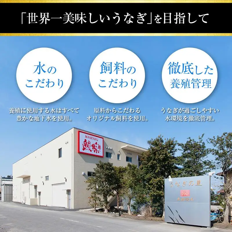 宮崎県産 うなぎ 蒲焼 切身 20パック 計1kg 個包装 国産 鰻 20枚