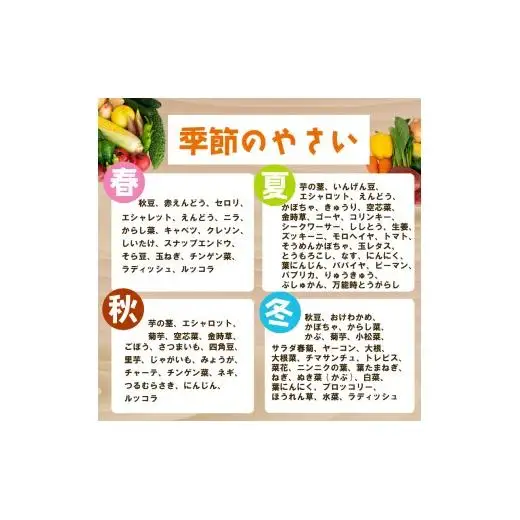 季節の野菜セット 産地直送 朝採れ （7品 ～ 8品 野菜 セット 詰め合わせ 特産 季節 旬 新鮮 彩 ベジタブル 高知県 須崎市  ） NPO020