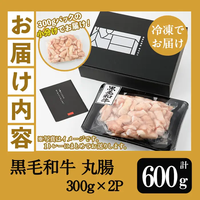 鹿児島県産 黒毛和牛ホルモン 丸腸 約600g（300g×2P）【00-030-26】