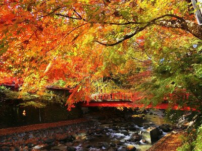 静岡県伊豆市　日本旅行　地域限定旅行クーポン300,000円分（チケット 旅行 宿泊券 ホテル 観光 旅行 旅行券 交通費 体験  宿泊 夏休み 冬休み 家族旅行 ひとり カップル 夫婦 親子 トラベルクーポン 伊豆旅行）