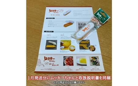 1・4月発送 全2回 定期便 はっさく マニア 貯蔵 ＆ 木成完熟 訳あり傷多め L または M 5.5kg 茶箱 和歌山 有田 南泰園