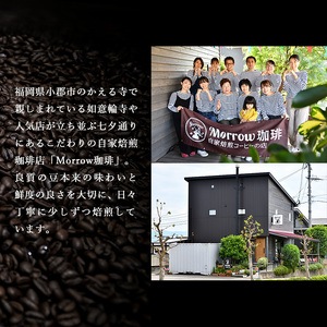 定期便 12ヶ月 自家焙煎 ゲイシャ (豆) 200g×2 ポスト投函 コーヒー 珈琲 12回 お楽しみ Morrow珈琲