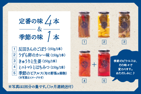 【定期便3回】やまあいピクルス 定番4本＋季節1本(おまかせ)×3回分｜ピクルス ピクルス ピクルス 野菜 健康 詰め合わせ セット 定期便 3回 YP-4