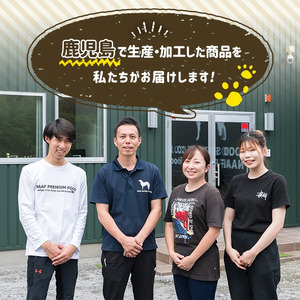 a960 ＜増粘多糖類・食品添加物不使用＞愛犬用無添加レトルトパック6種セット 計48袋(1袋約100g・合計約4.8kg)【Nフードサービス】姶良市 ドッグ フード パウチ 犬 ペット おやつ ごはん ご褒美 ペット関係 常温 常温保存