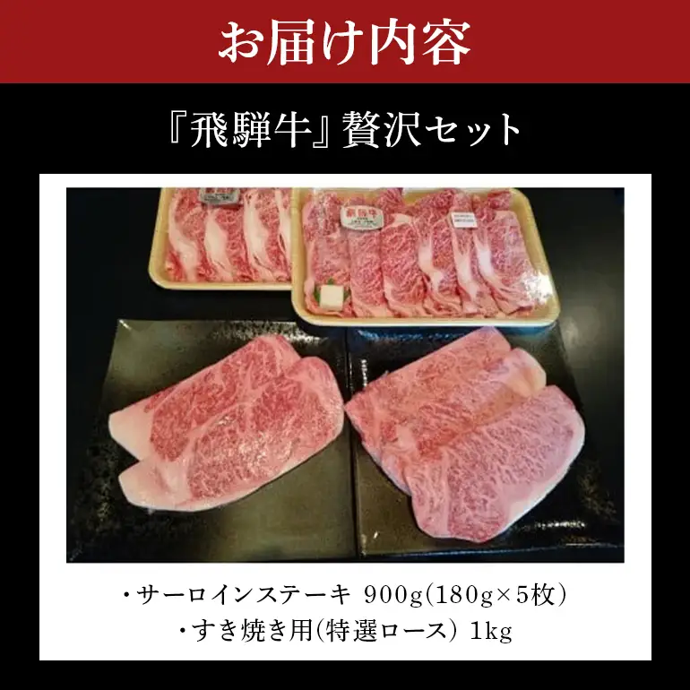 飛騨牛 A5～4等級 贅沢セット (A01-021)